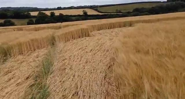 Crop circle 2013
