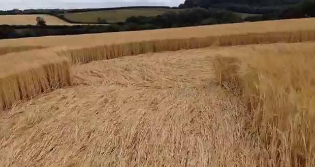 Crop circle 2013