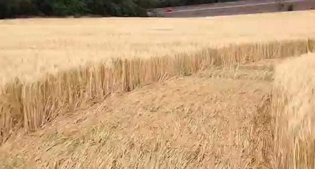 Crop circle 2013