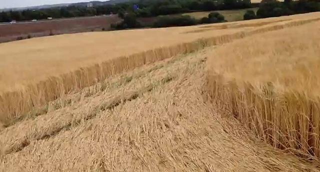 Crop circle 2013