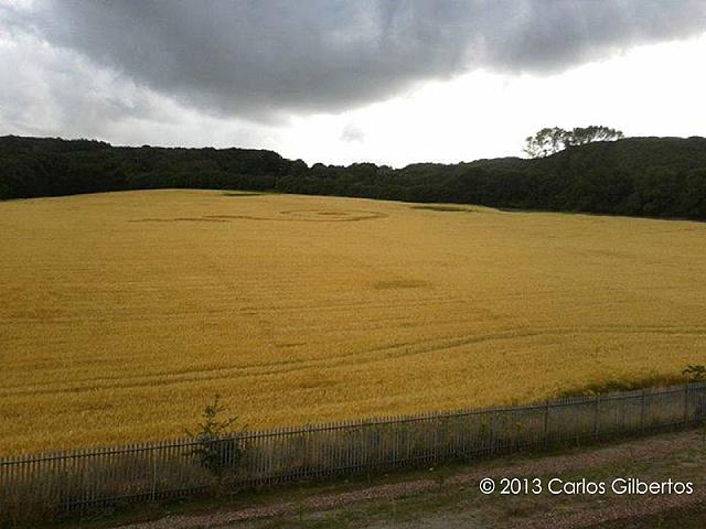 Crop circle 2013