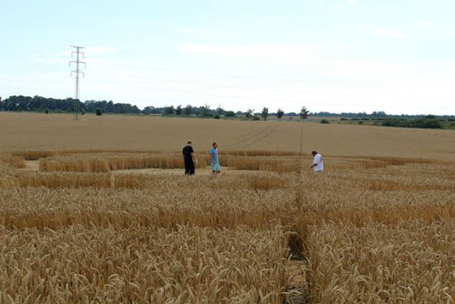 Crop circle 2013