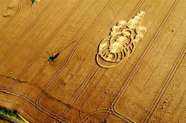 Crop circle 2013