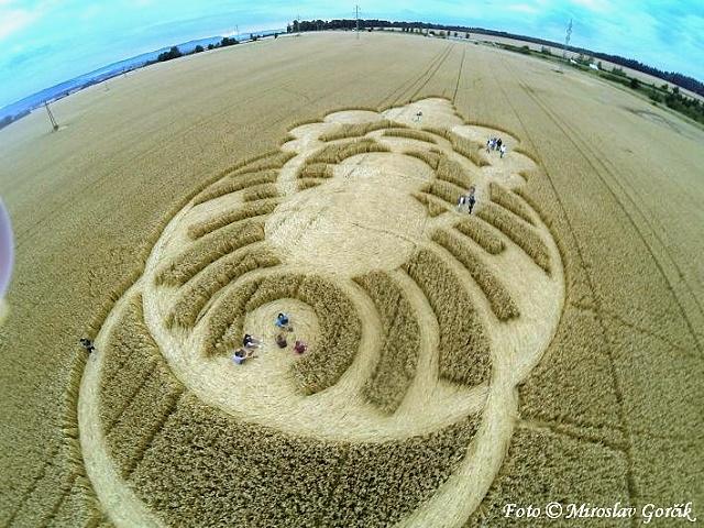 Crop circle 2013