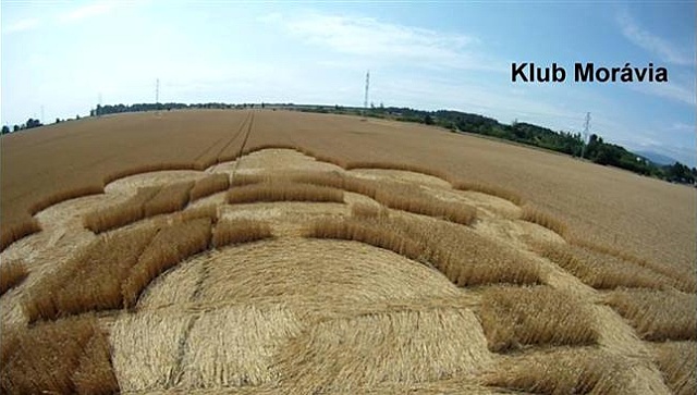 Crop circle 2013