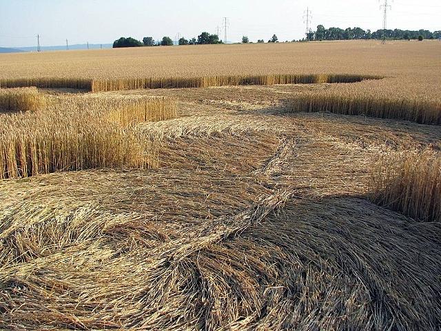 Crop circle 2013