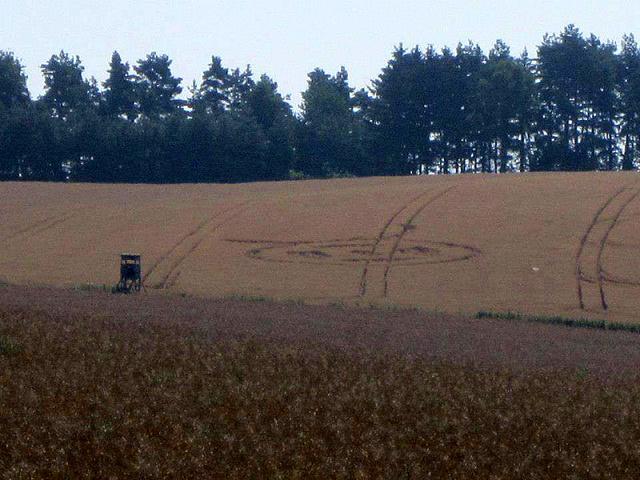 Crop circle 2013