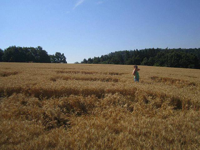 Crop circle 2013