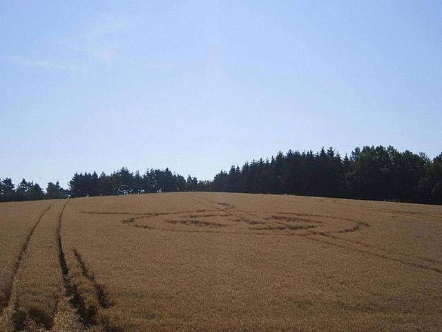 Crop circle 2013