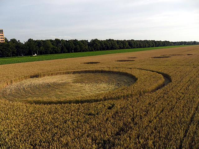 Crop circle 2013