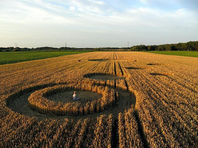 Crop circle 2013