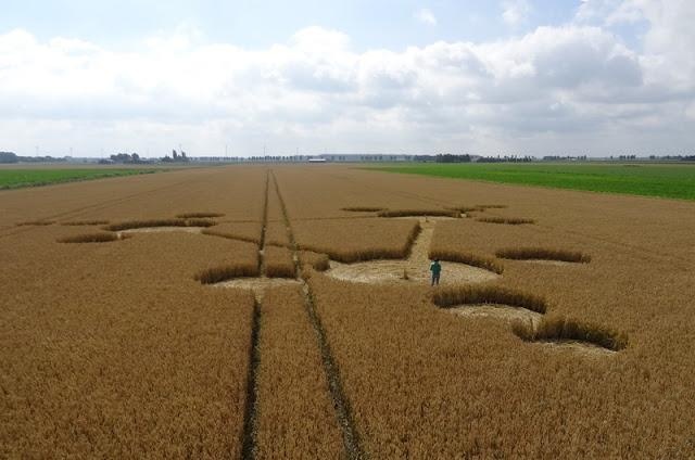 Crop circle 2013