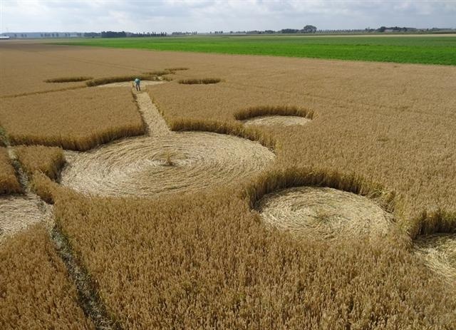 Crop circle 2013
