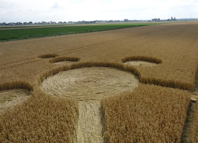 Crop circle 2013