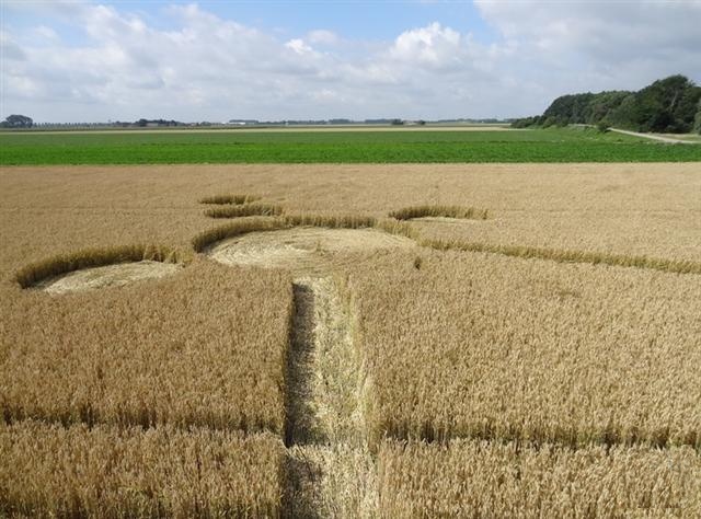 Crop circle 2013