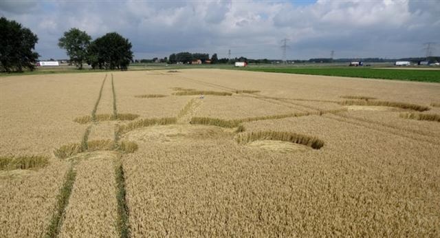 Crop circle 2013
