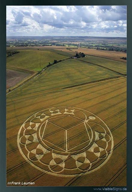 Crop circle 2013