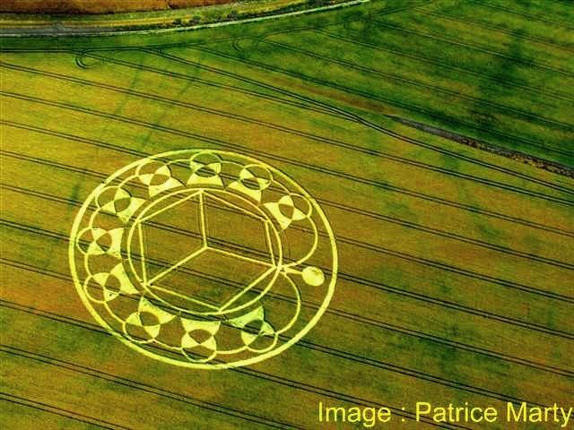 Crop circle 2013