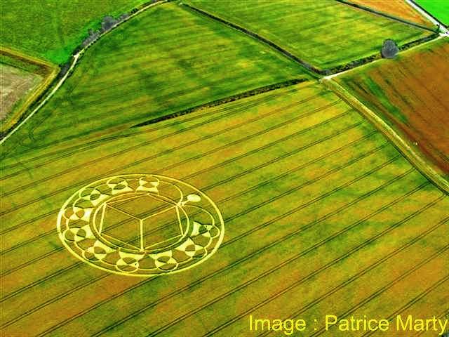 Crop circle 2013