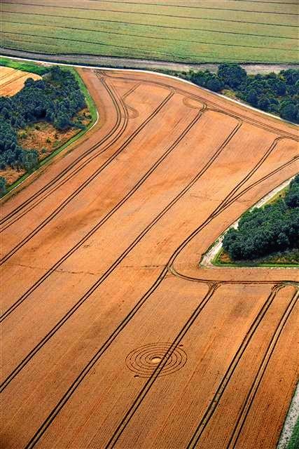 Crop circle 2013