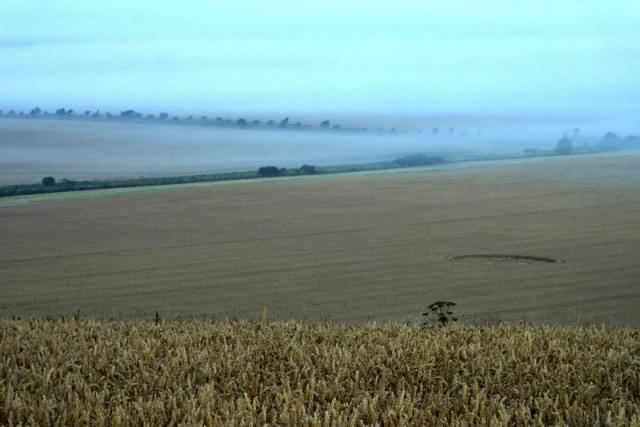 Crop circle 2013