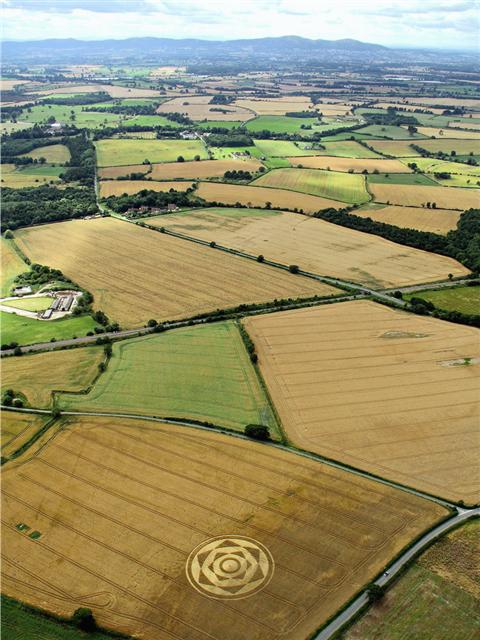 Crop circle 2013