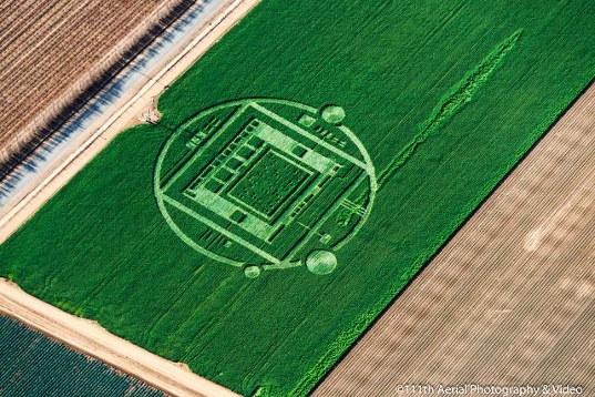 Crop circle 2013