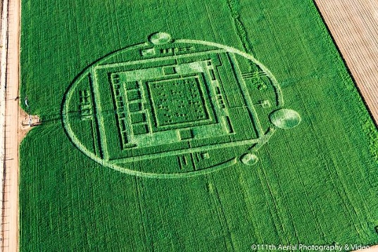 Crop circle 2013