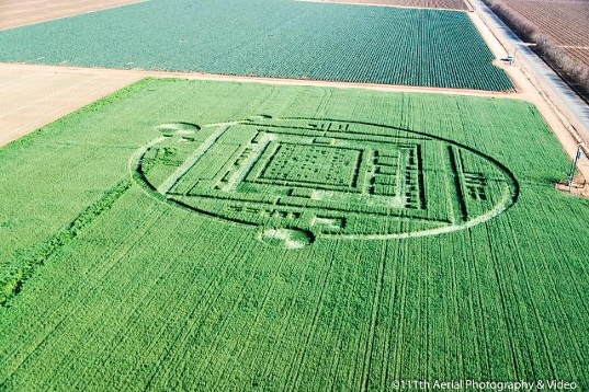 Crop circle 2013