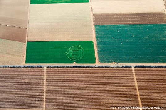 Crop circle 2013