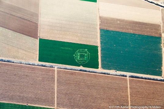 Crop circle 2013