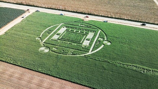 Crop circle 2013