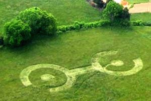 Crop circles 2013