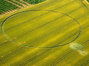 Crop circles