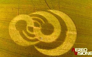 Crop circles 2013