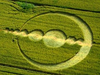 Crop circles 2013