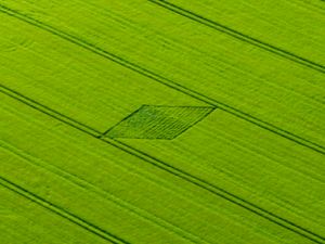 Crop circles