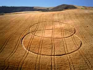 Crop circles