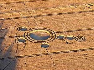 Crop circles 2013