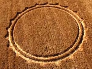 Crop circles 2013