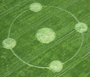 Crop circles 2013