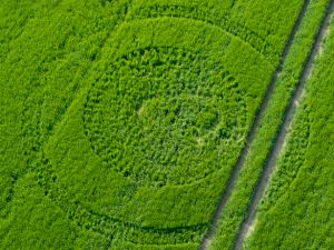 Crop circles