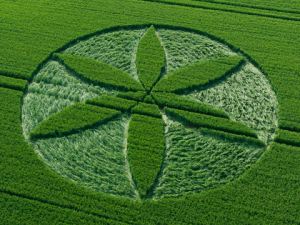 Crop circles