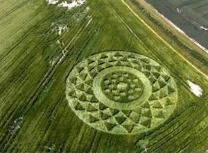 Crop circles