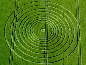 Crop circles 2013