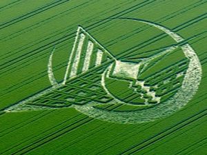 Crop circles