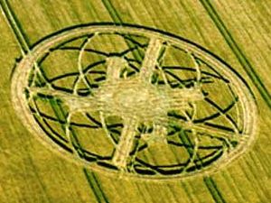 Crop circles 2013