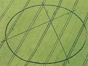 Crop circles 2013