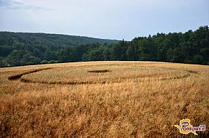 Crop circles