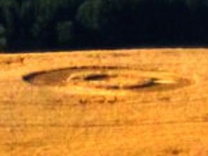 Crop circles